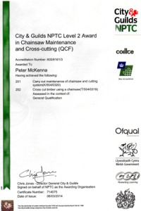 City & Guilds NPTC level 2 award in chain saw maintenance and cross cutting QCF awarded to Peter McKenna PJ Cleaning Services, Sligo, Ireland