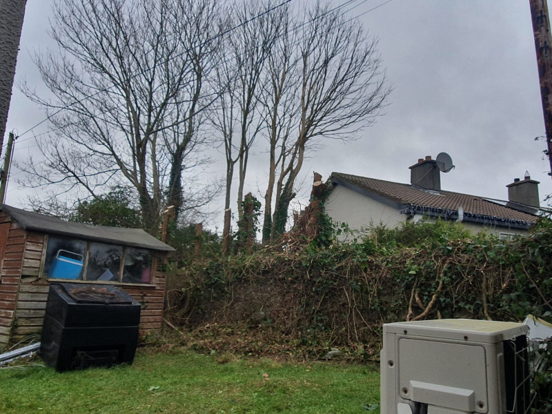 After hedge cutting in Sligo garden by P J Services, Ireland