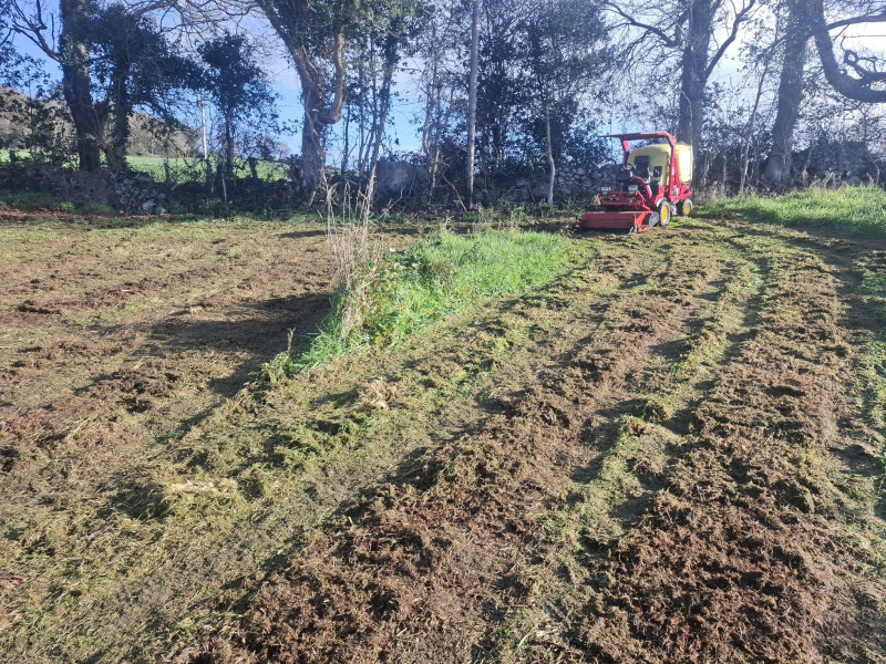 Cutting overgrown grass - showing areas before and after cutting by PJ Services, Sligo, Ireland