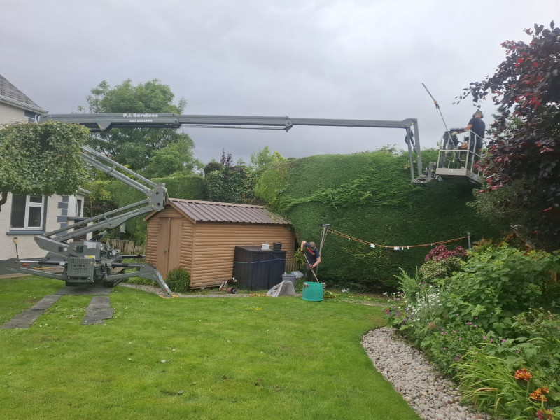 hedge trimming service throughout North-West Ireland & Northern Ireland from PJ Services, Sligo