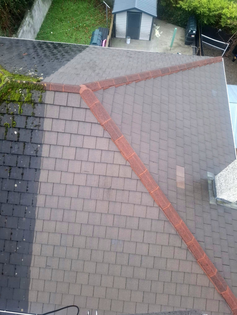 Roof Cleaning, Sligo